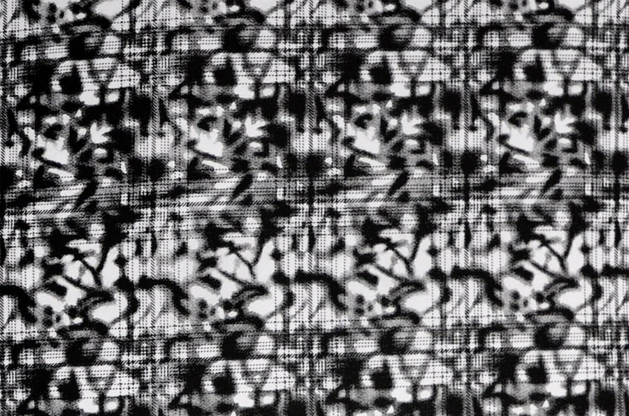 Frolic - Image 2