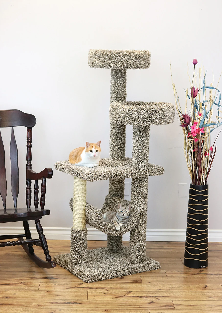 Cat Play Gym for Active Cats – Multi-Level Solid Wood Climbing Tree