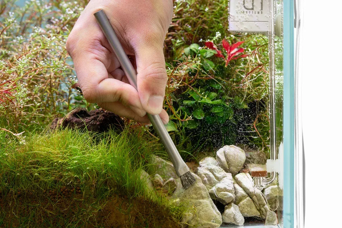 UNS Stainless Steel Algae Brush Set - Image 2
