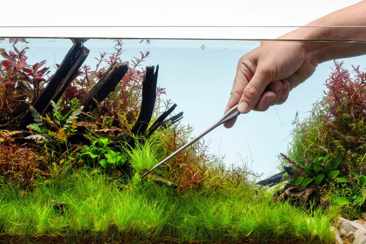 UNS Pro Aquascaping Tools - Grey Straight Pinsettes - Image 2