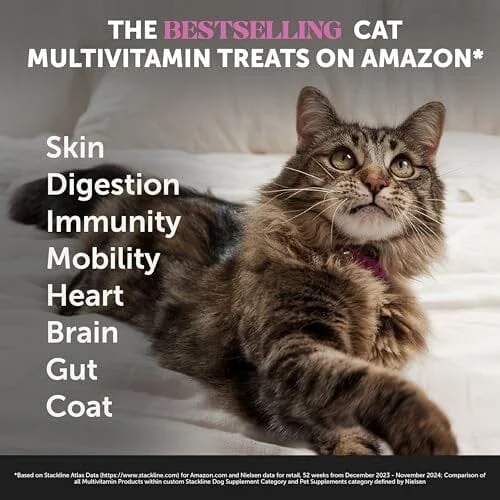 Pet Honesty Daily Multi-Vitamin with Lysine and Omega-3 Joint Skin and Digestion Chicken Flavor Supplemental Cat Treats - Image 2