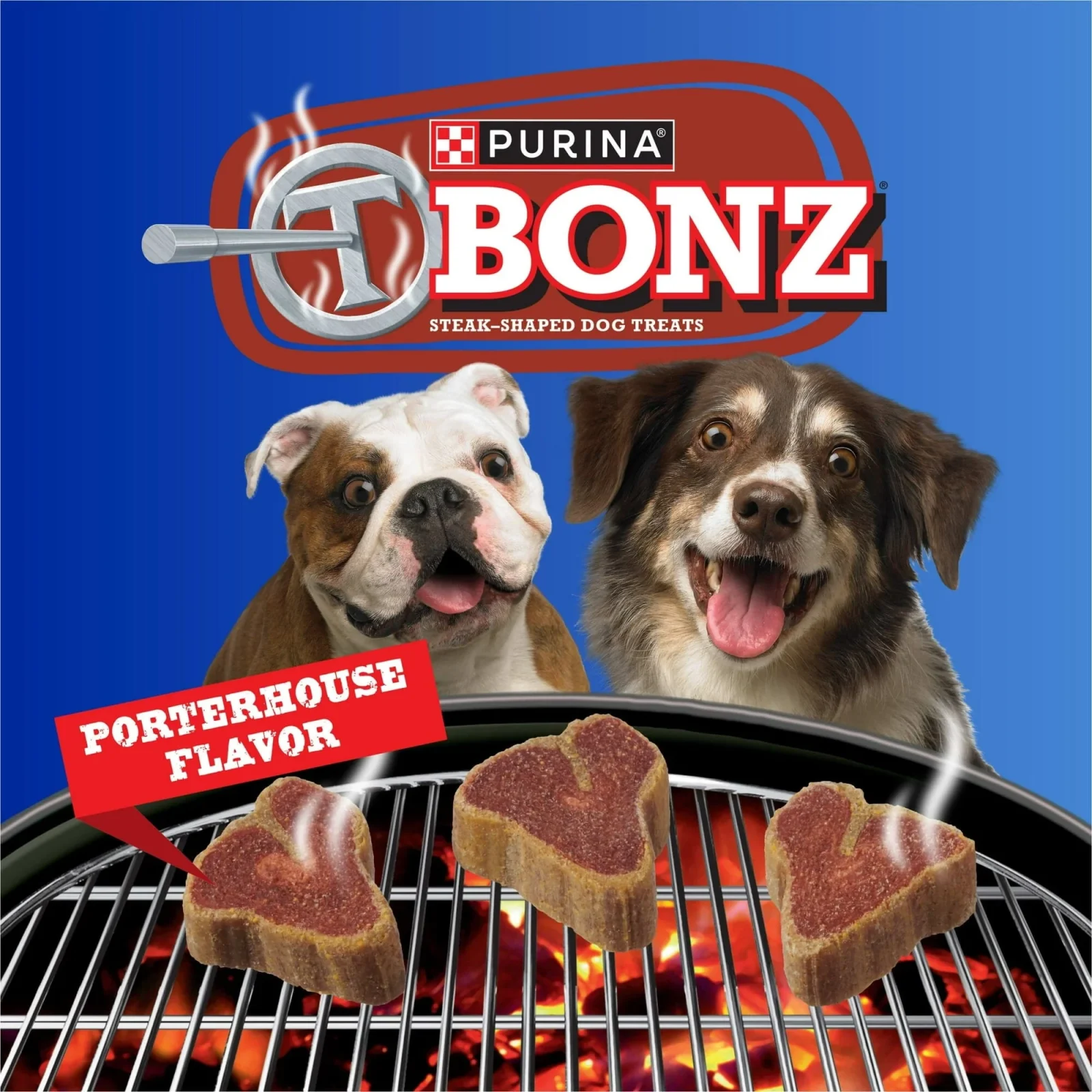 Purina T-Bonz Porterhouse Flavored Steak Shaped Soft and Chewy Dog Treats - Image 2