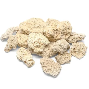 Natural Reef Shelf Rock - Premium