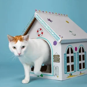 Breezy Beach Cottage Cardboard Cat Playhouse, 5-Count