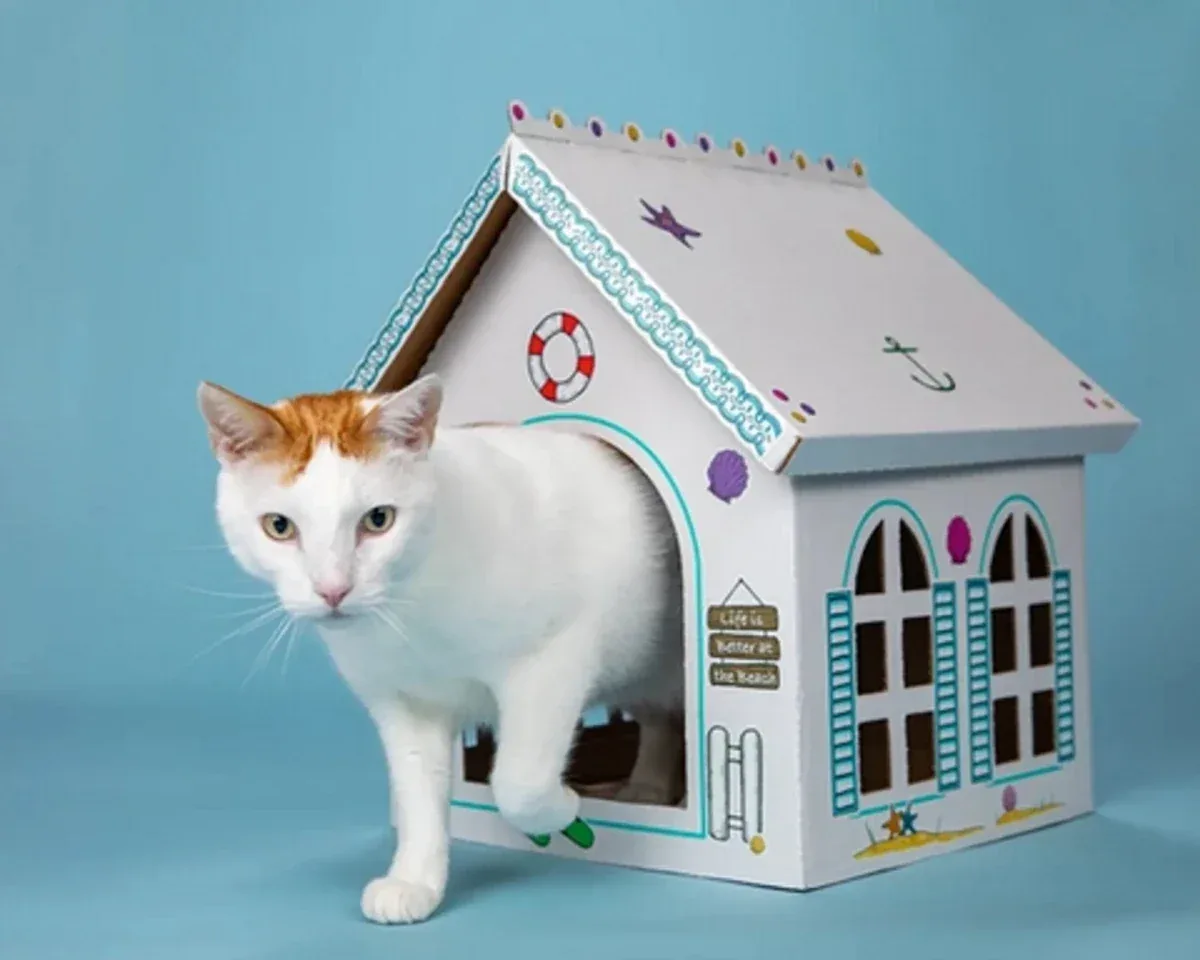 Breezy Beach Cottage Cardboard Cat Playhouse, 5-Count