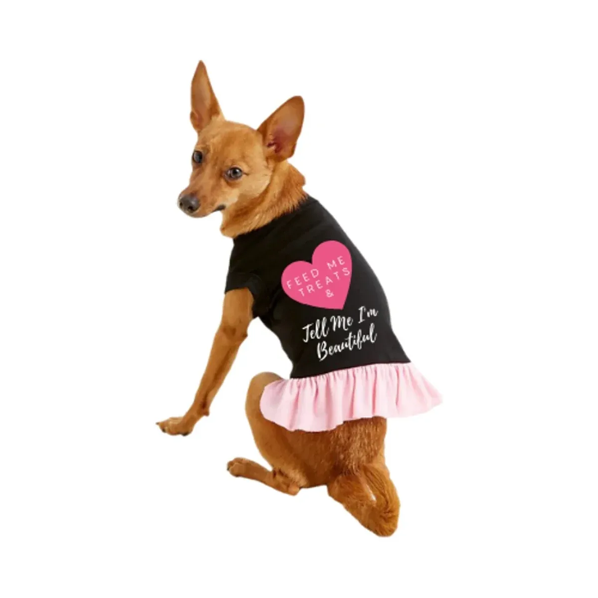 Feed Me Dog Treats & Tell Me I'm Beautiful - Valentine's Day Dog Dress by Bark Fifth Avenue