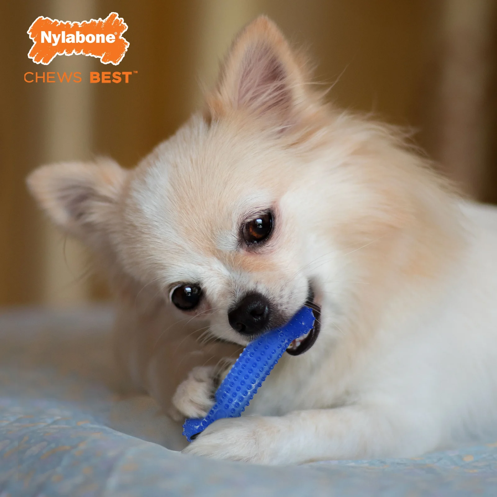 Nylabone FlexiChew Dog Dental Pack Peanut Butter Bacon, X-Small/Petite up to 15 lb. 3 ct - Image 2