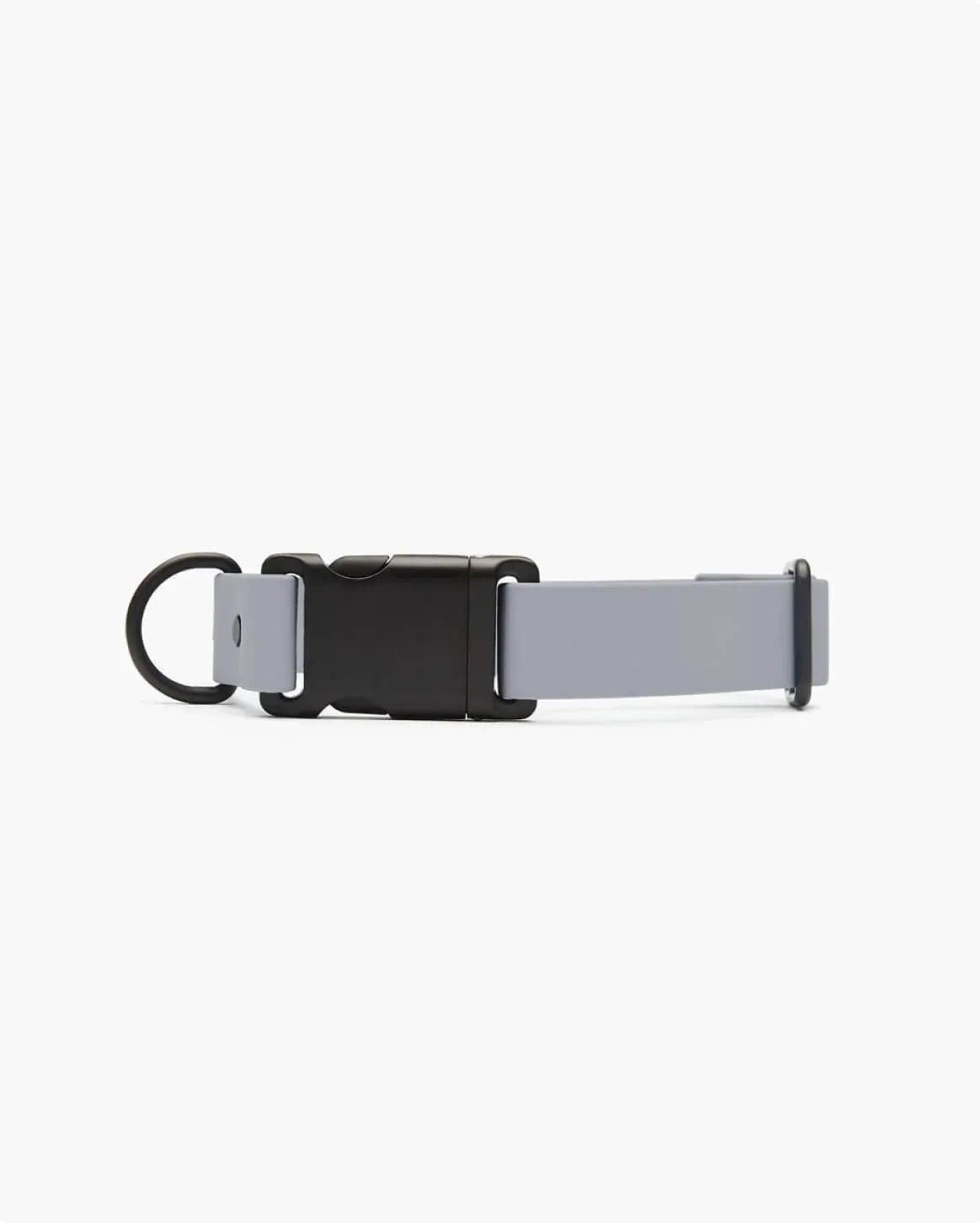 Signature Collar