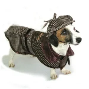 Sherlock Hound Costume