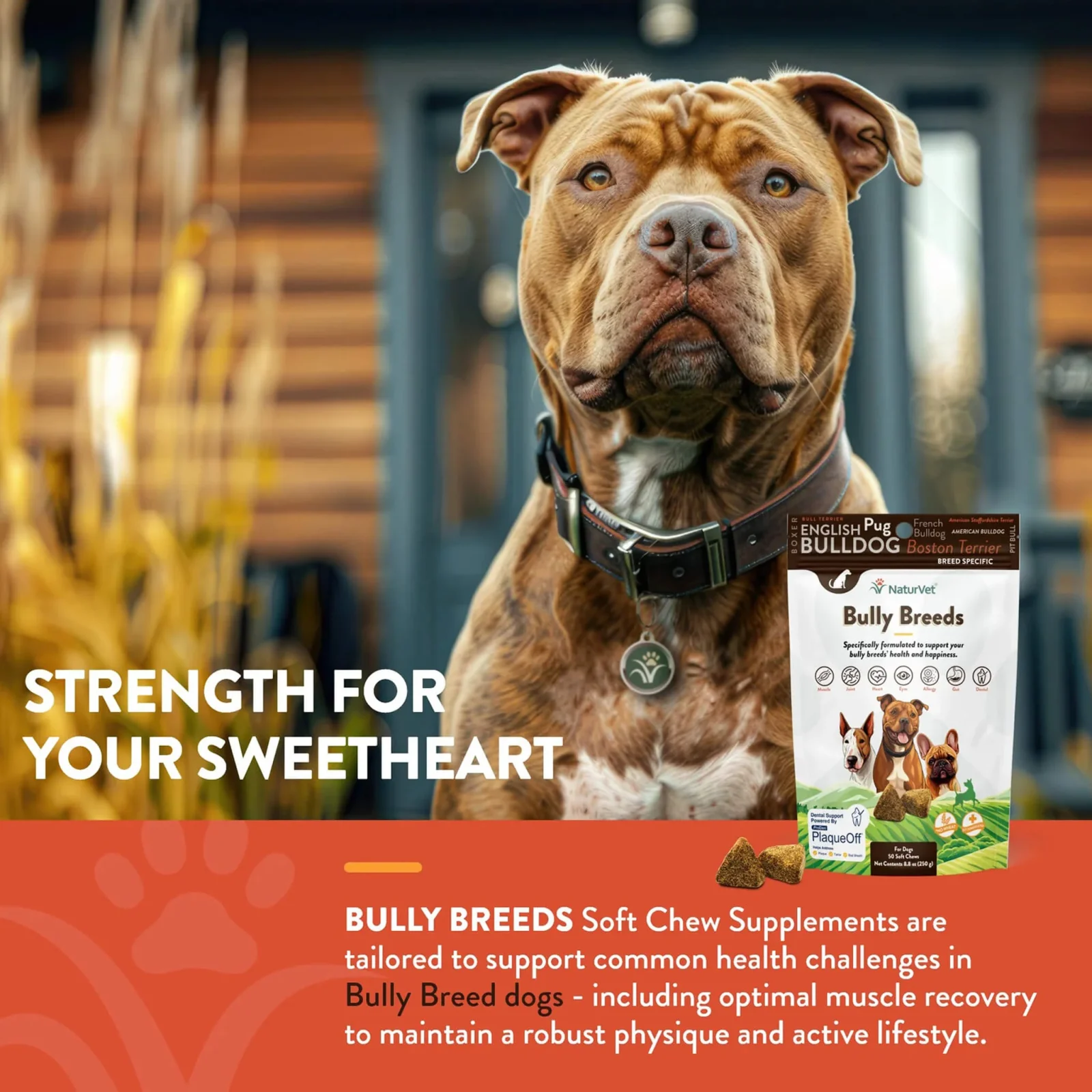 NaturVet Breed Specific Bully Breed Dog Soft Chews - Image 2