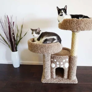 Double Perch Cat Condo — Solid Wood Cat Perch with Enclosed Condo & Sisal Posts