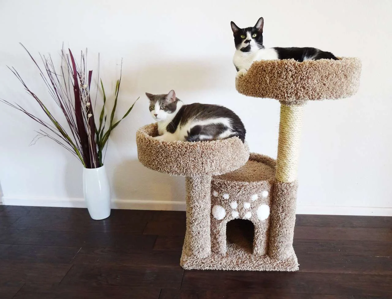Double Perch Cat Condo — Solid Wood Cat Perch with Enclosed Condo & Sisal Posts