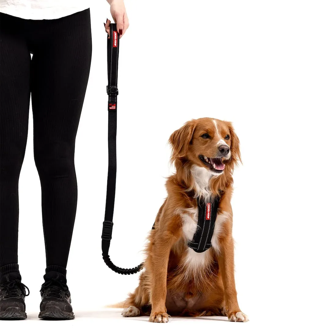 Zero Shock™ Leash - Image 2