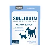 Nutramax Solliquin Calming Behavioral Health Supplement - With L-Theanine, Magnolia / Phellodendron, and Whey Protein Concentrate