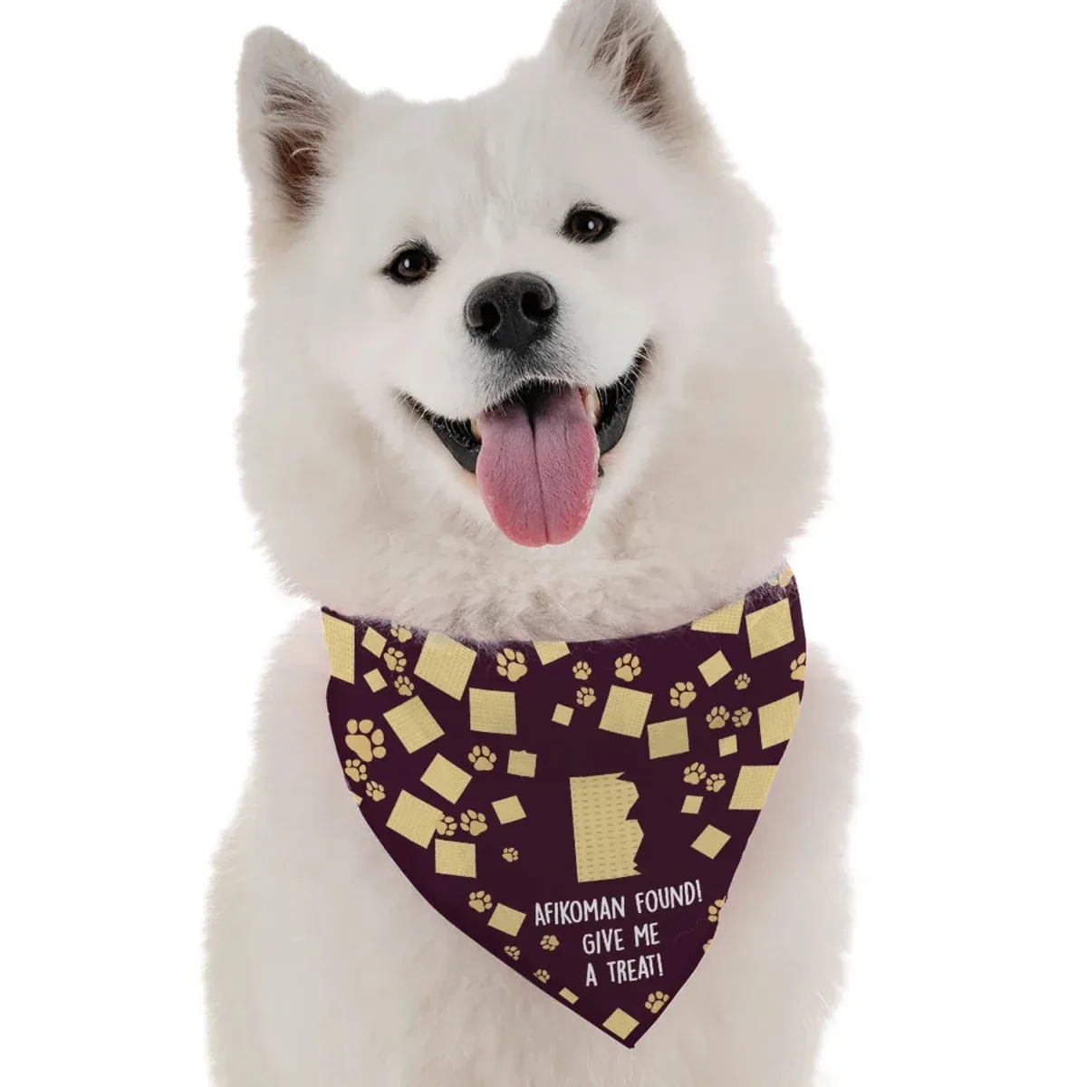 BanDoggie I Found the Afikoman Passover Dog Bandana - Soft Microfiber, Made in USA