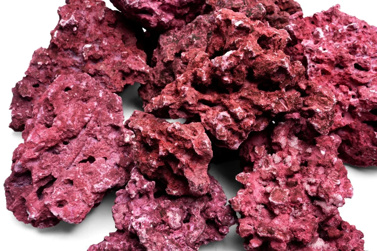 Natural Reef Rock - Coralline - Image 2