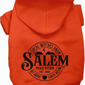 Salem Witches Union Halloween Pet Hoodie