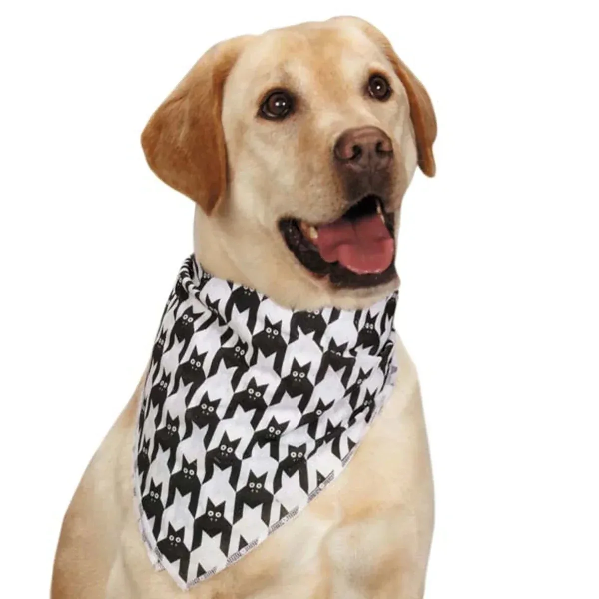 AR Houndstooth Bat Bandana Wht/Blk - Image 2