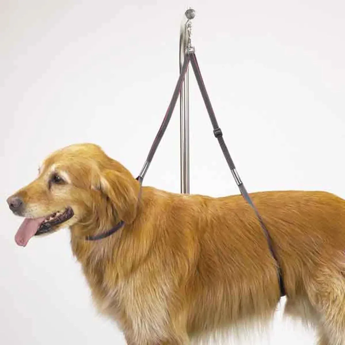 TP Nylon Table Dog Harness 27 in - Image 2
