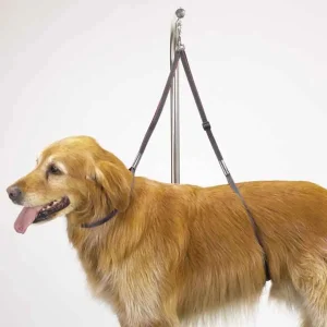 TP Nylon Table Dog Harness 27 in