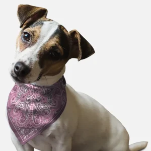 BanDoggie Lilac Paisley Western Dog Bandana - Soft Microfiber, Made in USA