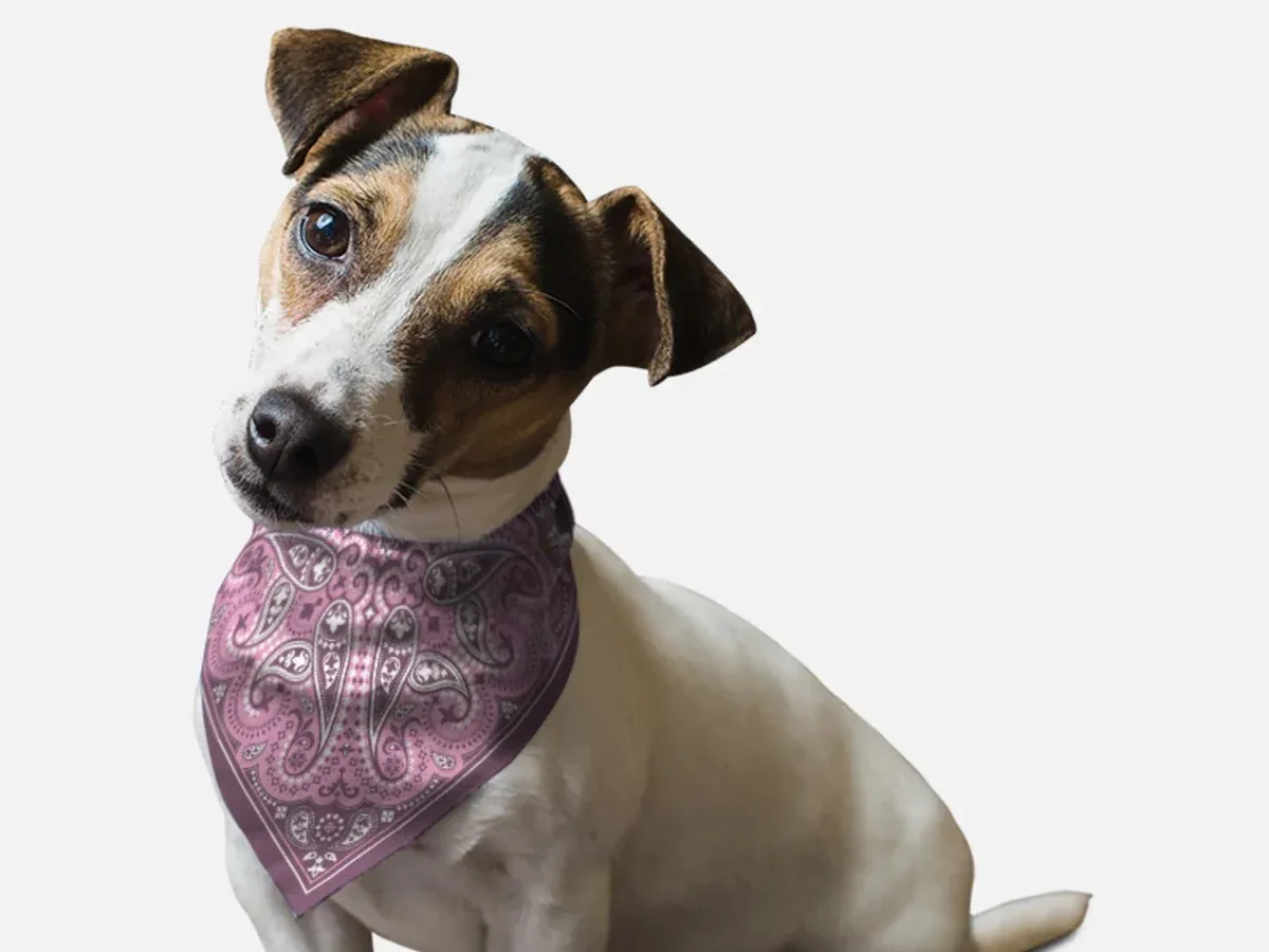 BanDoggie Lilac Paisley Western Dog Bandana - Soft Microfiber, Made in USA