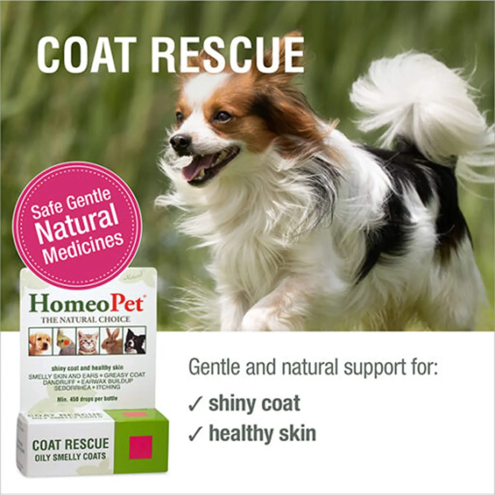 HomeoPet Coat Rescue - Image 2