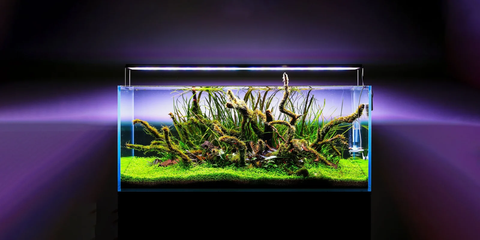 Twinstar LED - S Series Vr. V Aquarium Light Fixture - Image 2