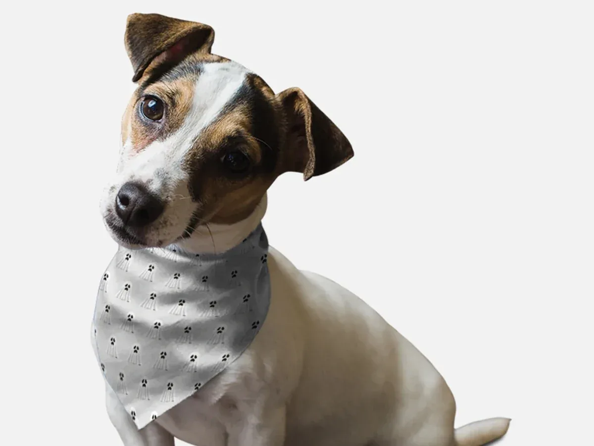 Ghosts Galore Halloween Dog Bandana by BanDoggie - Image 2