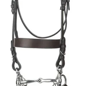 Henri De Rivel Polo Bridle With Double Reins