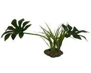 Komodo Jungle Canopy Plant 42 cm - Image 2