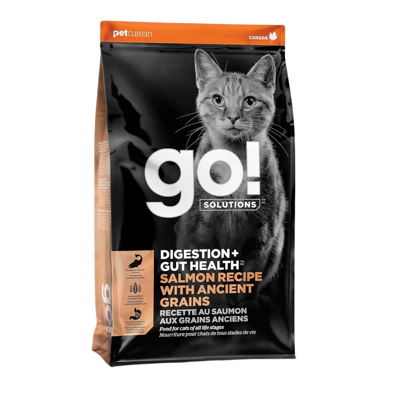 Go! Solutions Cat Digestion + Gut Health Dry Cat Food - Salmon with Ancient Grains, 8 lb