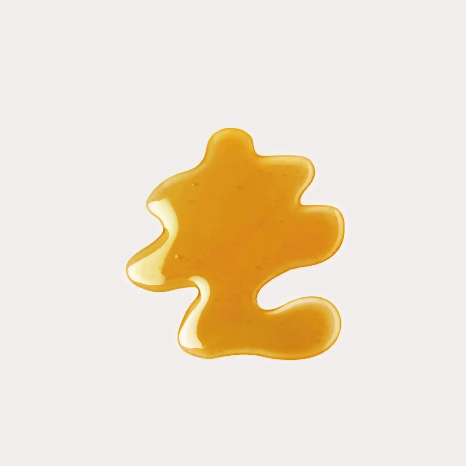 Ernie's Positively Good Salmon Oil for Dogs & Cats - Image 2