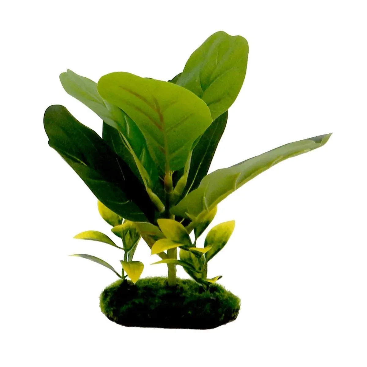 Blue Ribbon Pet Products Tropical Gardens Fiddle Leaf Aquarium Plant, 8 in
