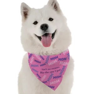 BanDoggie Ain't No Momma Like the One I Got Mother's Day Dog Bandana