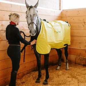 Equine Far Infrared Heating 12 Pad Blanket by Thermotex