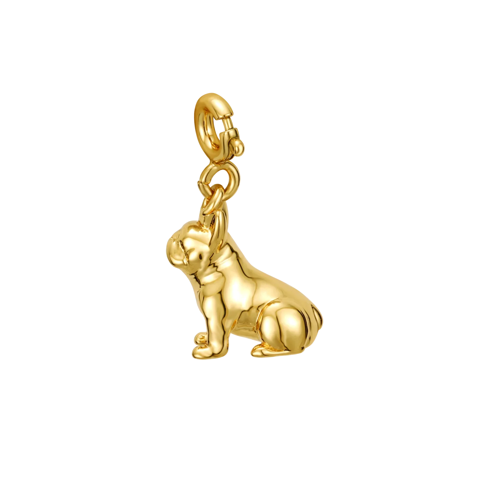 Frenchie - Image 2