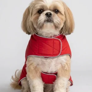 Skatrs Puffer Reversible Jacket for Dogs and Cats (Blue/Red)