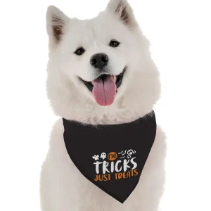 No Tricks, Just Dog Treats