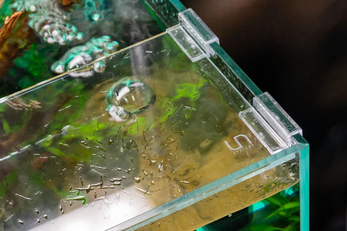 Rimless Aquarium Lid Clips - Image 2