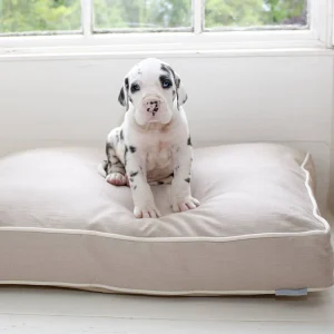 Cushion Covers in Savanna by Lords & Labradors