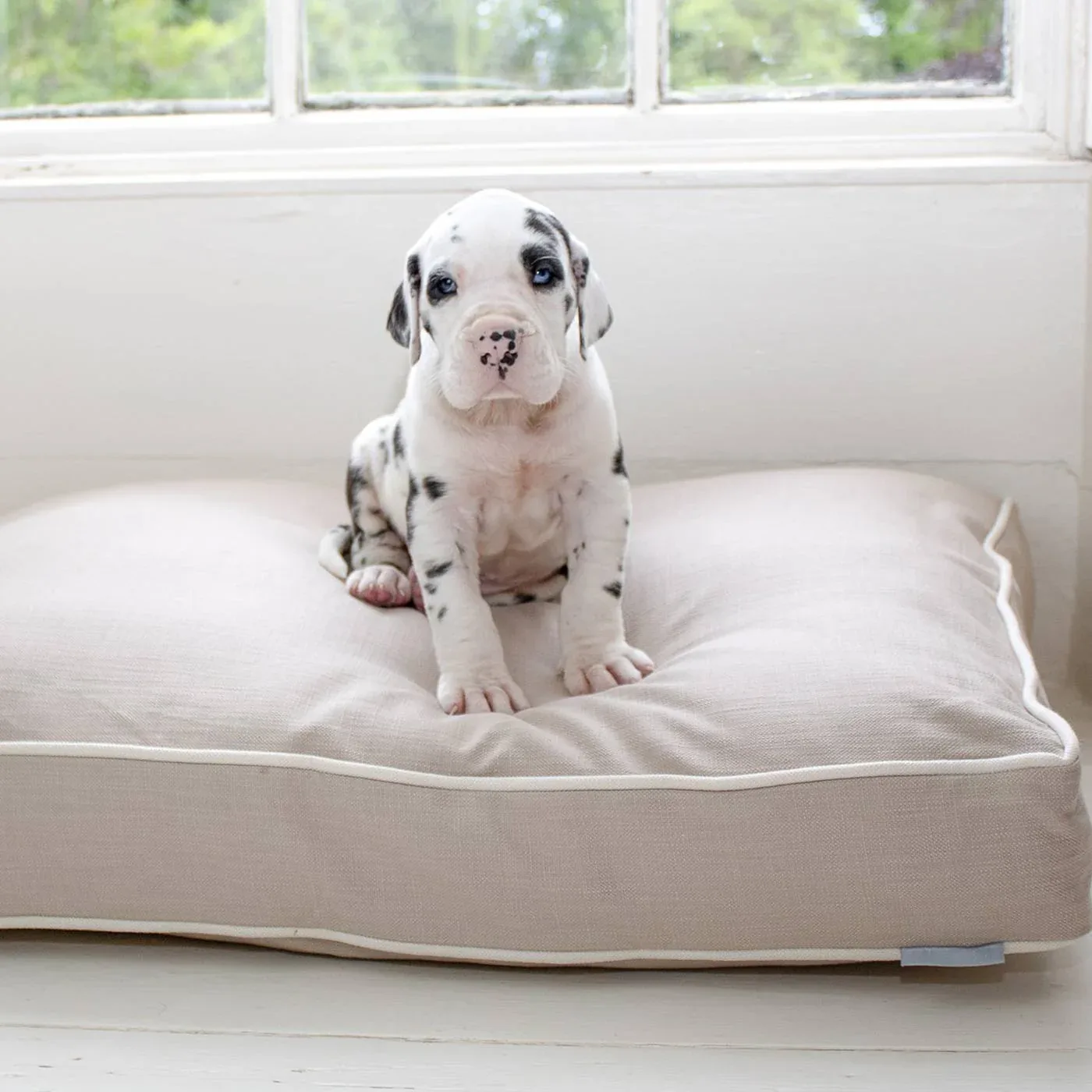 Cushion Covers in Savanna by Lords & Labradors