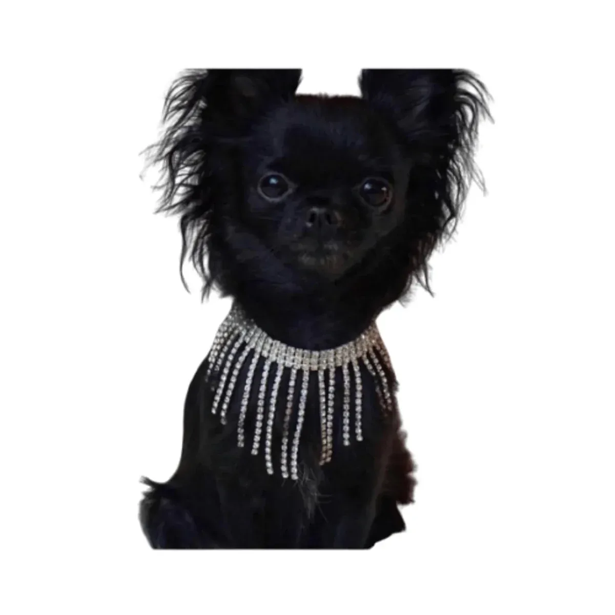 Sparkle Dior Necklace - Image 2