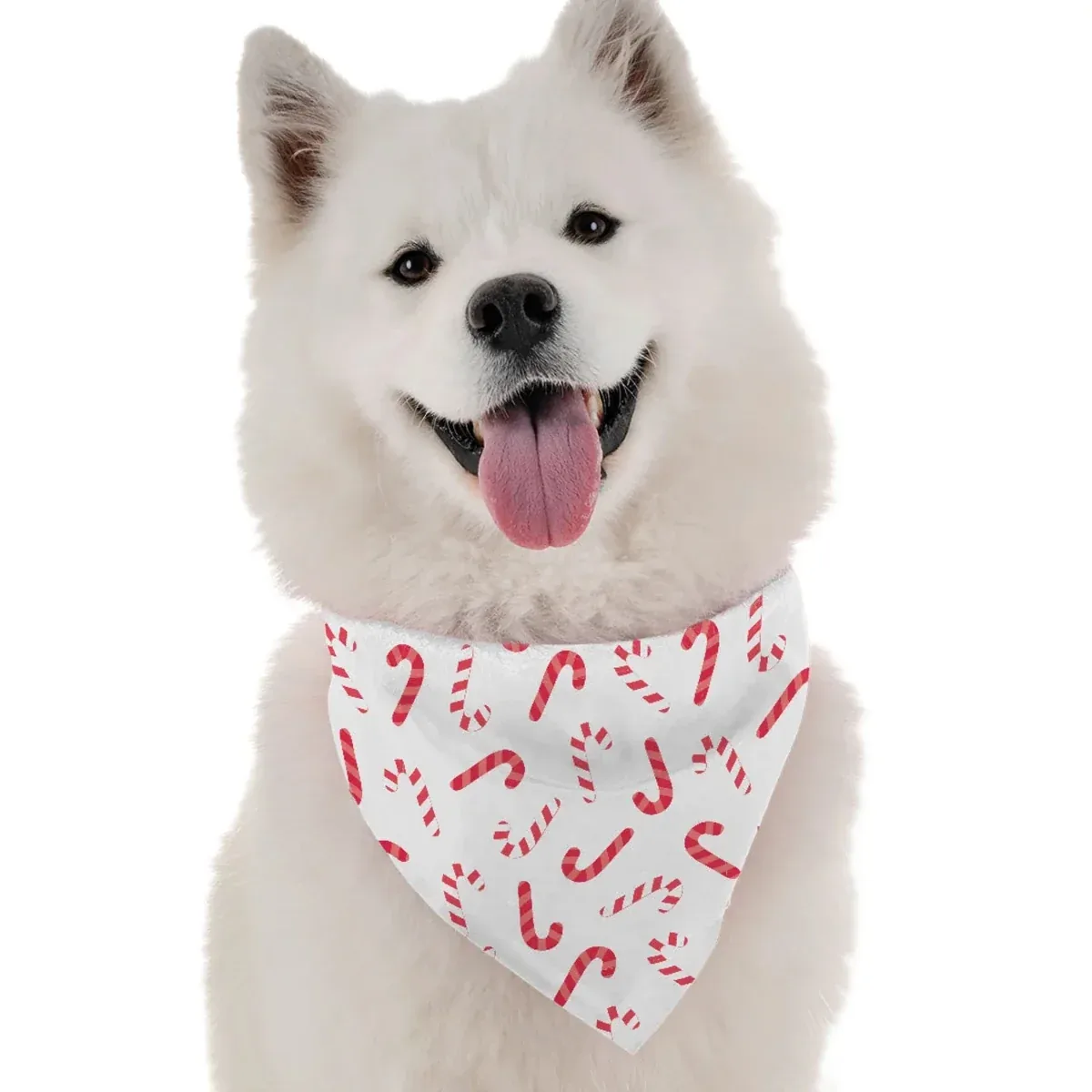 BanDoggie Candy Canes Dog Bandana - Soft Microfiber Holiday Pet Bandana, Made in USA - Image 2