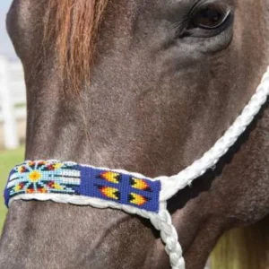 Professionals Choice Cowboy Braided and Beaded Halter with a 10` Lead