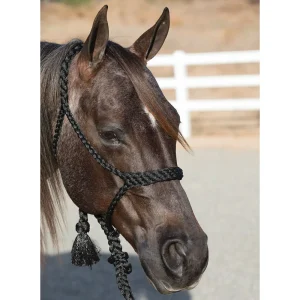 Professionals Choice Cowboy Braided Halter with 10ft Lead