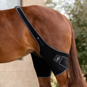 Professionals Choice Theramic Stifle Wrap