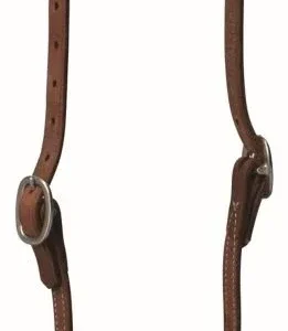 Protck Trainer Sl/Ear HeadstallSs