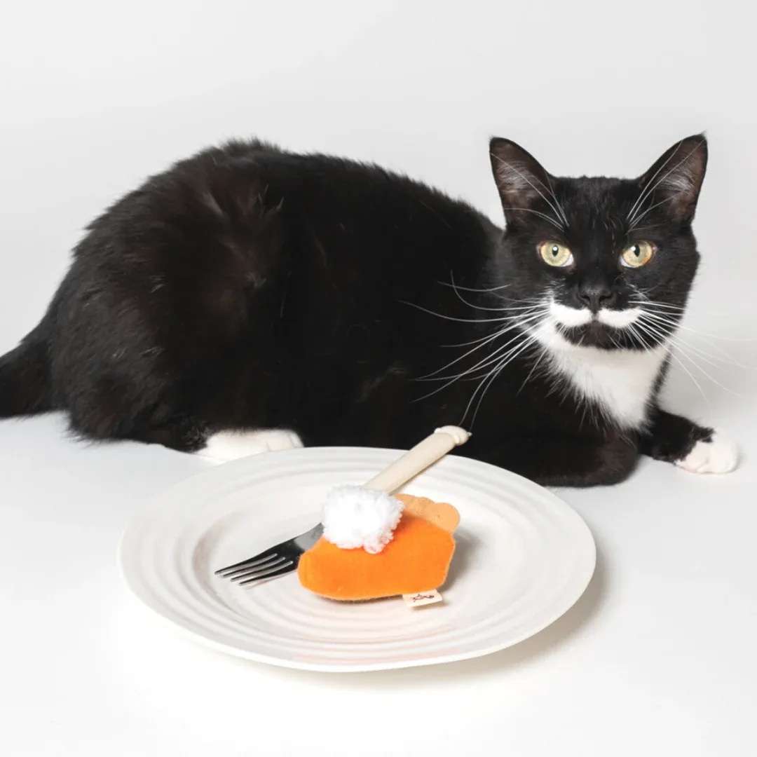 Pumkitty Spice Pie