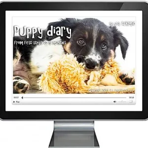 Puppy Diary